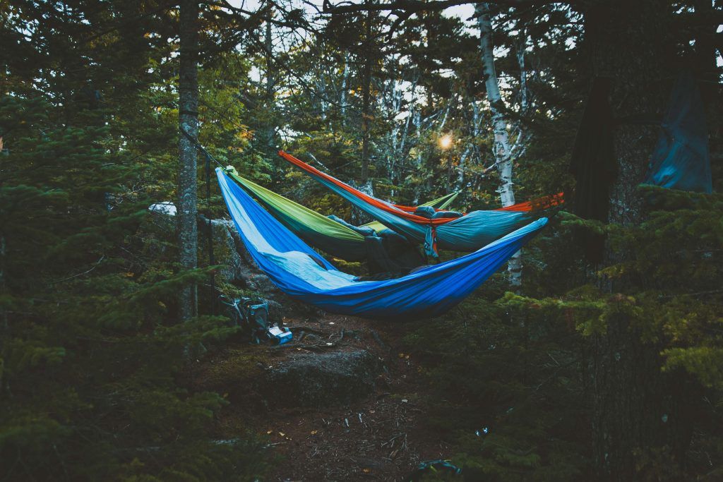 Hammock camping in the forest (Types of Camping)