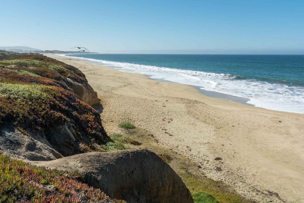 Best RV camping in Half Moon Bay - Half Moon Bay State Beach Campground