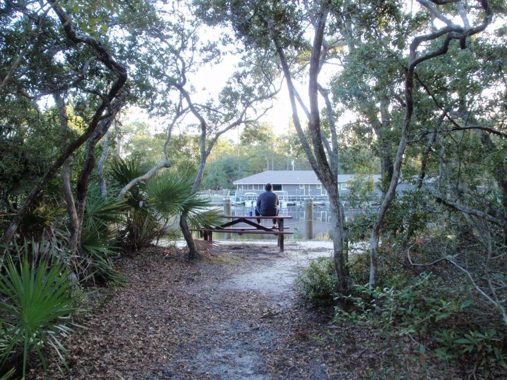 camping in georgia - Stephen C. Foster State Park