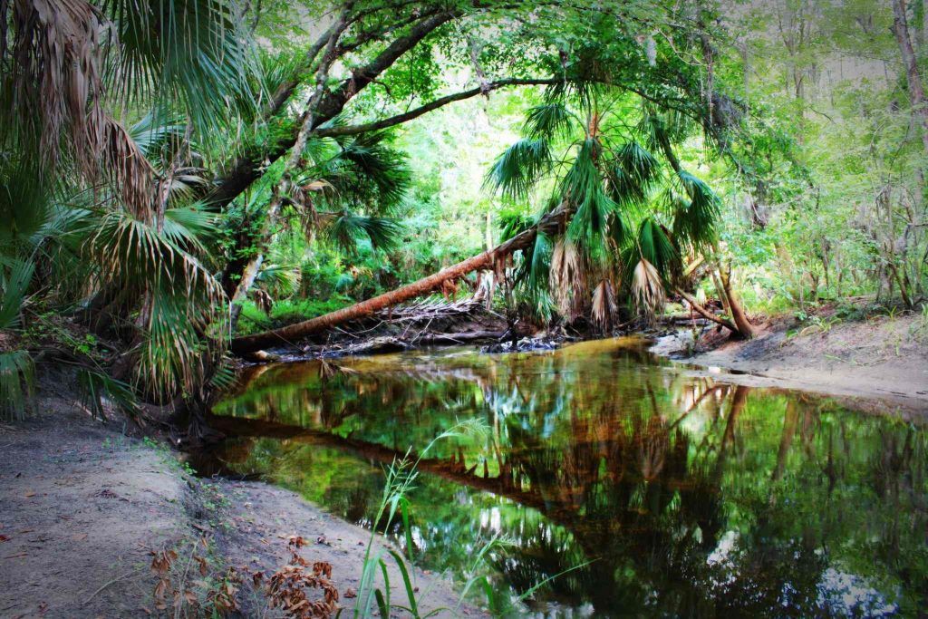 Best state parks for RV camping in Florida - Alafia River State Park