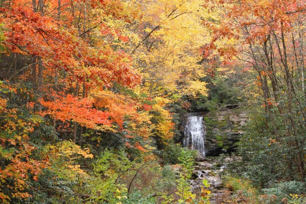 Best Scenic Drives in Smoky Mountains - Little River Road
