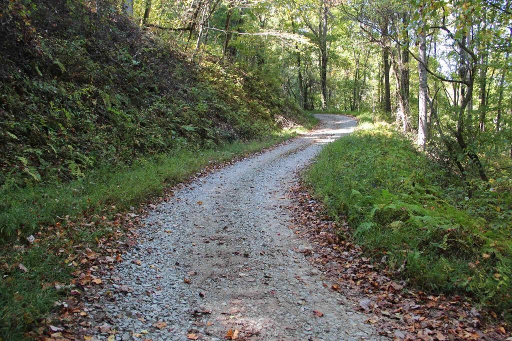 Best Scenic Drives in Smoky Mountains - Rich Mountain Road