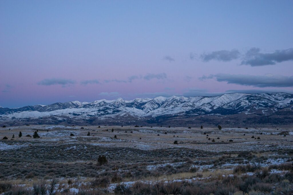 best hunting in the us