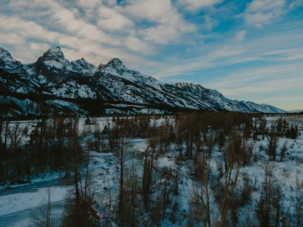 best hunting in the us
