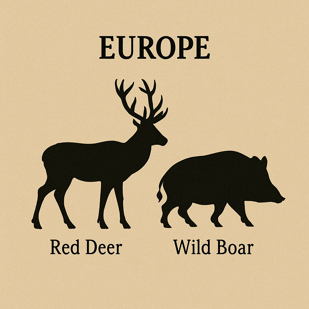 hunting europe