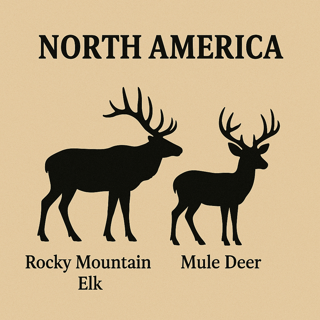 north america hunting