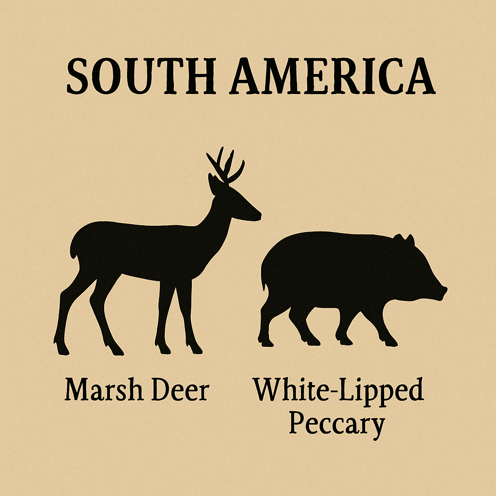 south america hunting