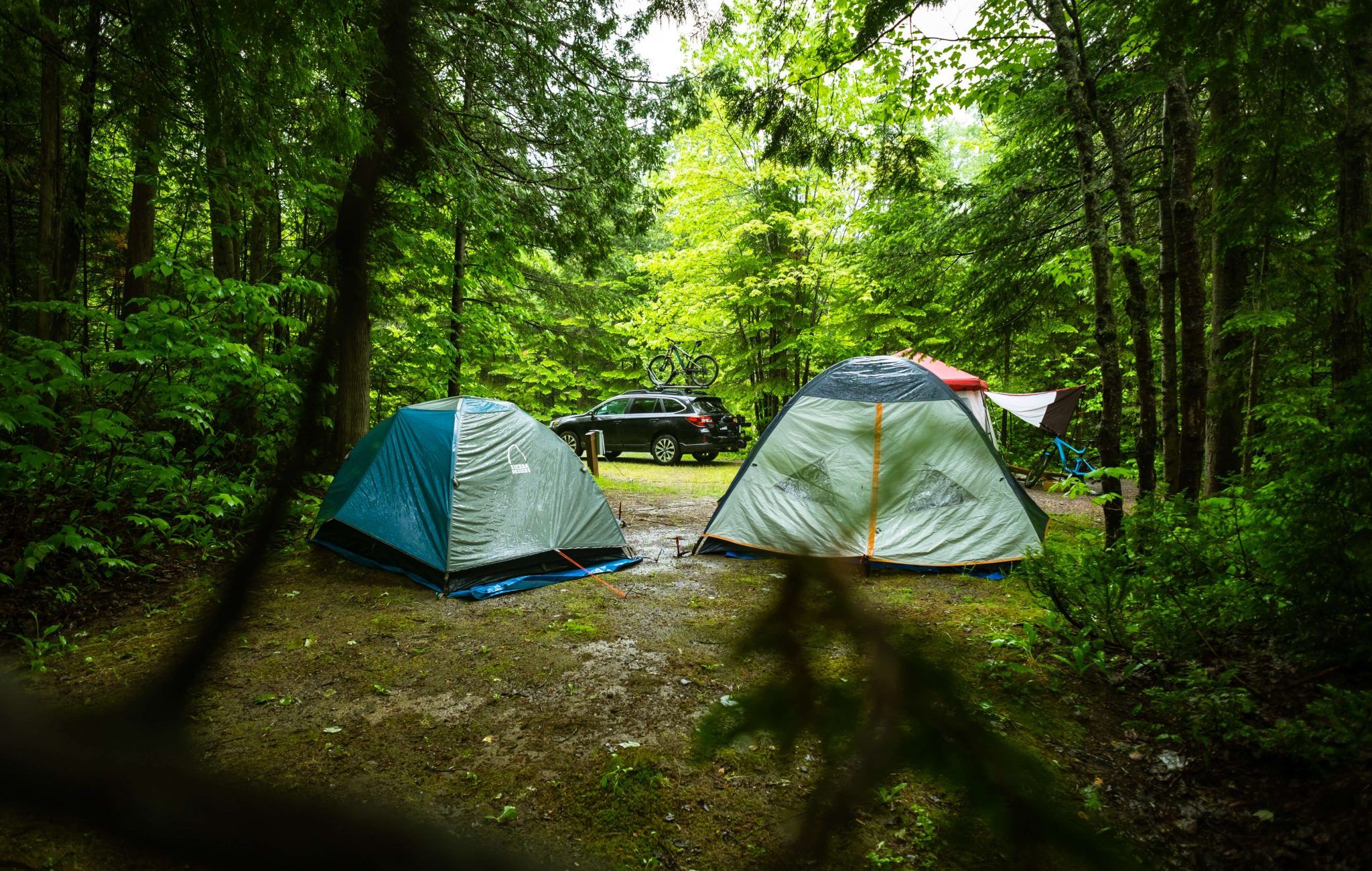 Learn the Different Types of Camping 17 Ways to Enjoy Nature