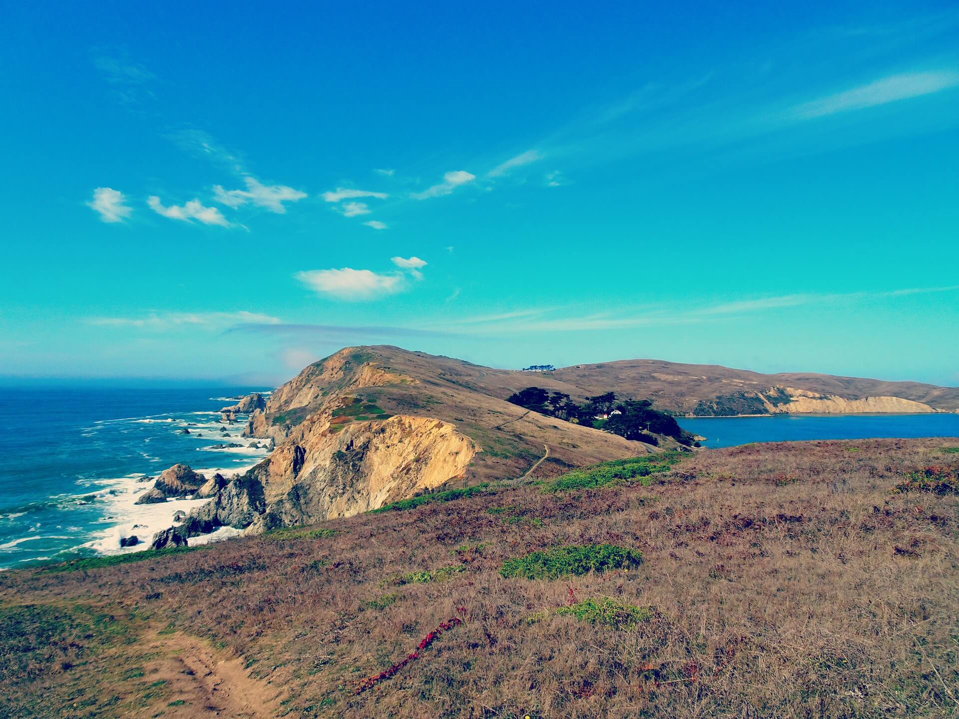 The Ultimate Guide to Point Reyes National Seashore
