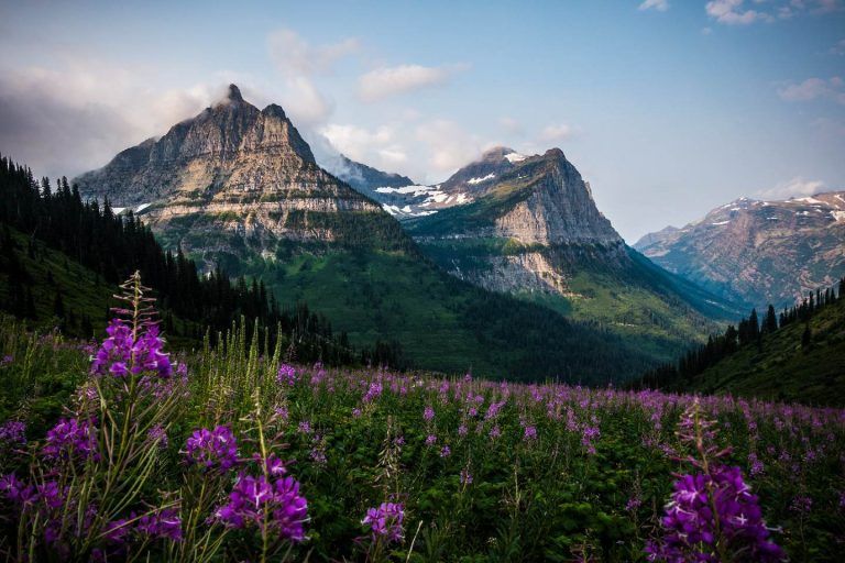 Camping in Glacier National Park-featured image