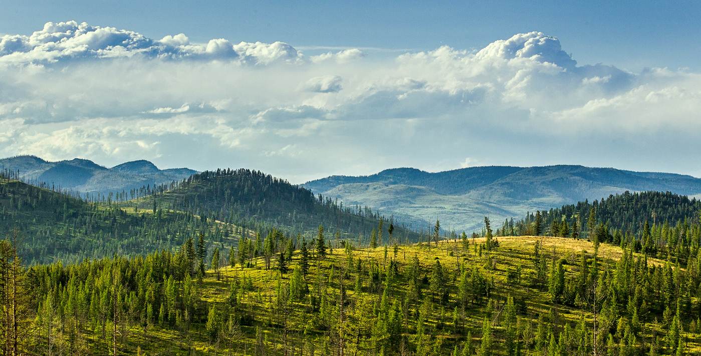 montana scenery