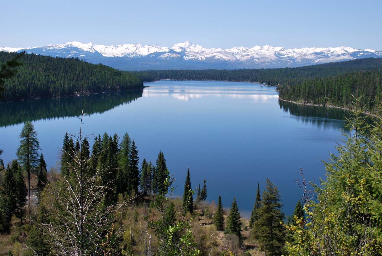 The 12 Best Scenic Drives in Montana That Will Amaze You - The Wild Guides