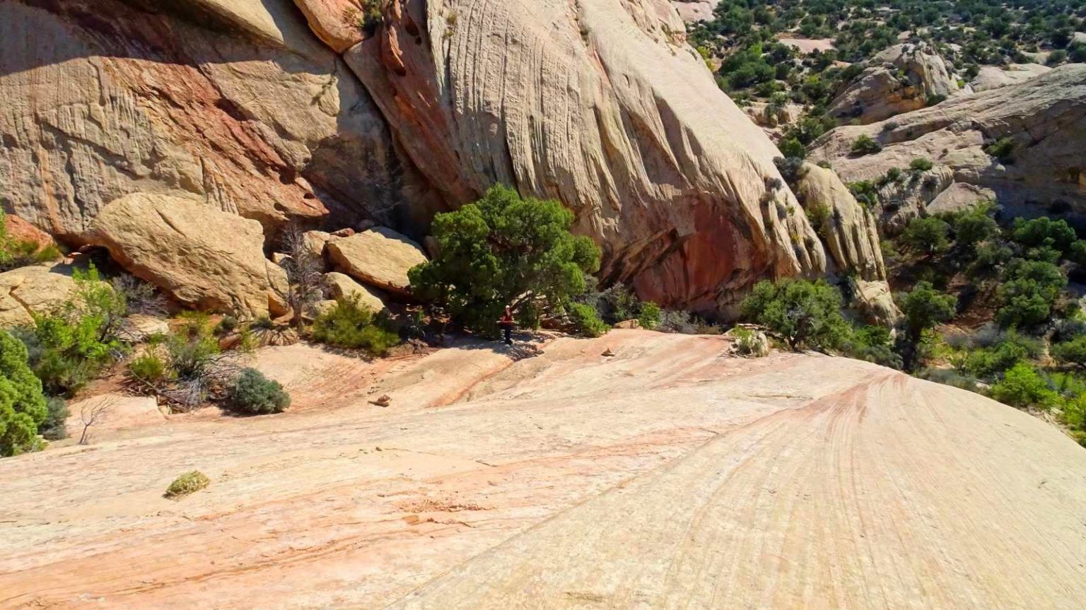 dispersed camping dinosaur national monument