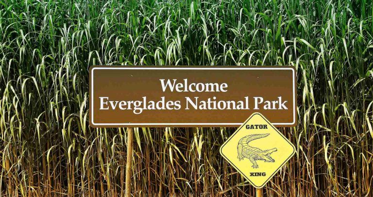 rv camping around everglades national park
