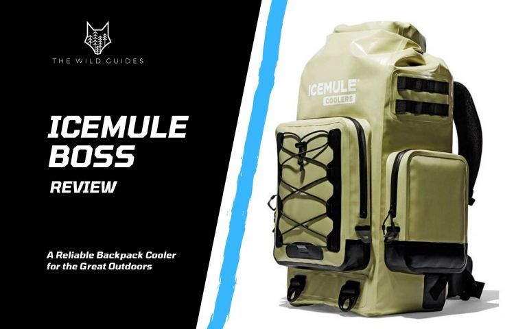 ICEMULE Boss Review