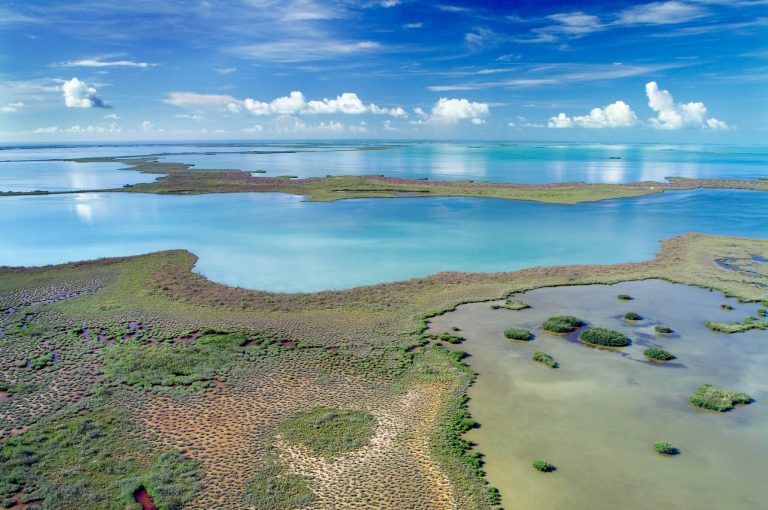 Freshwater fishing in Florida