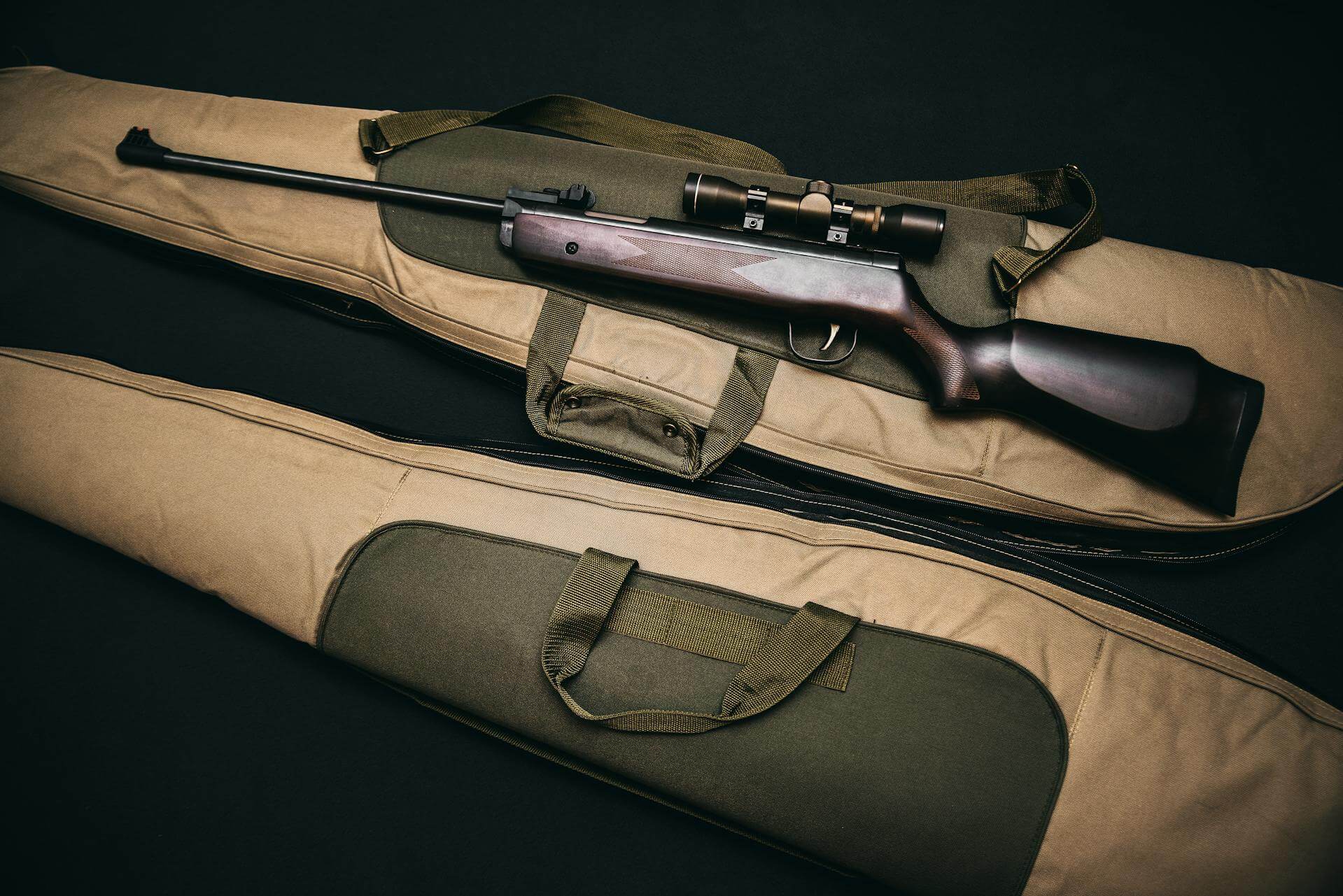 How to Choose an Air Rifle