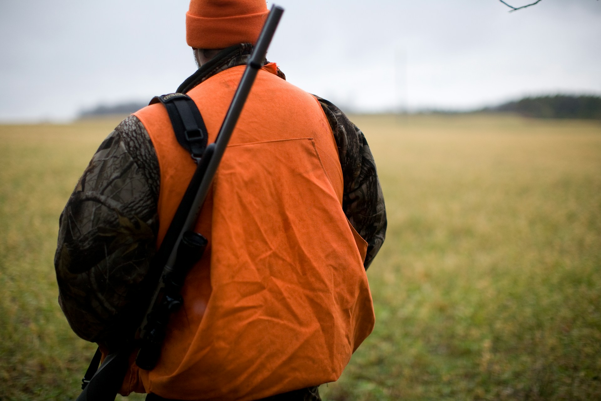 easiest game to hunt