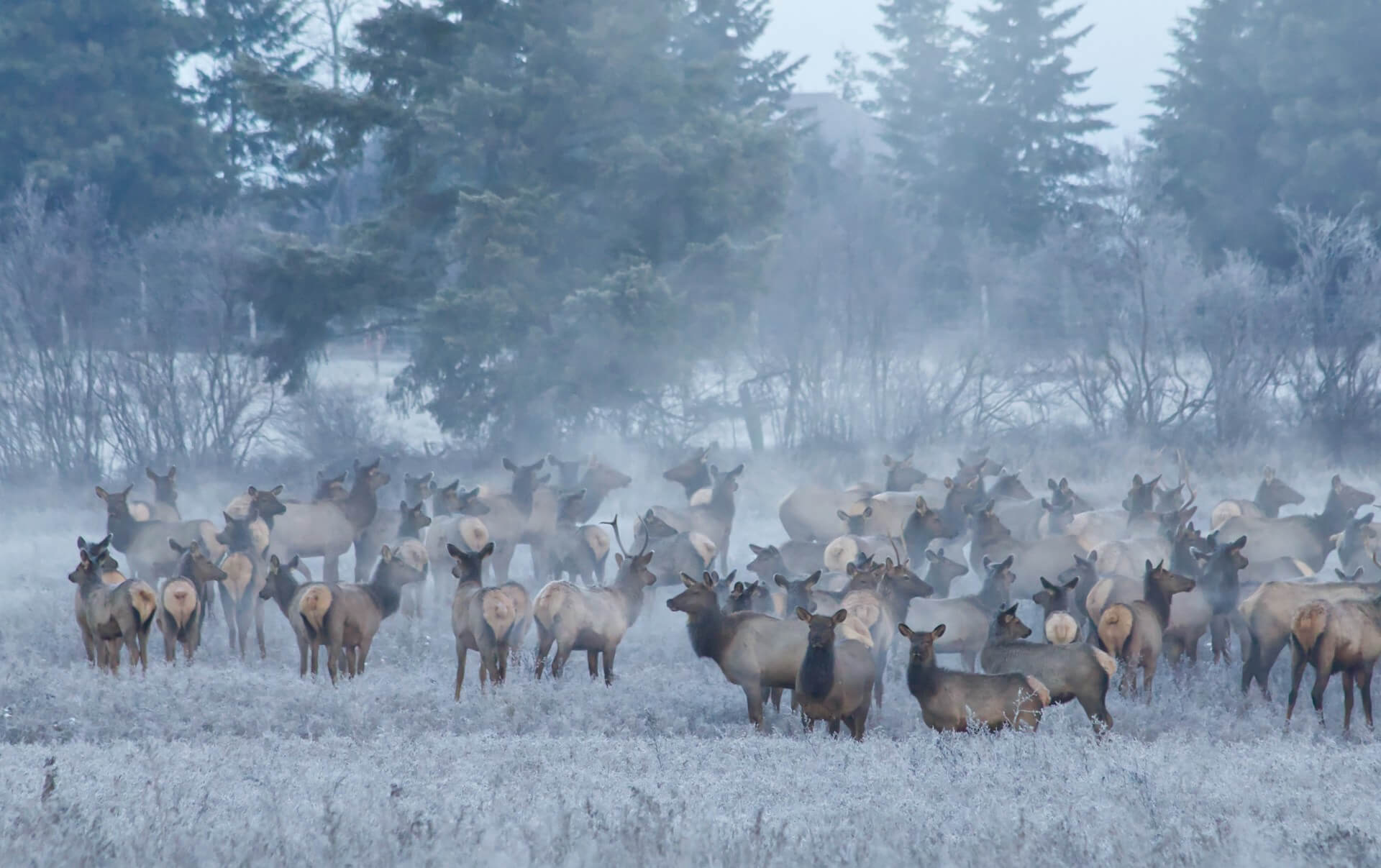 best hunting in the us