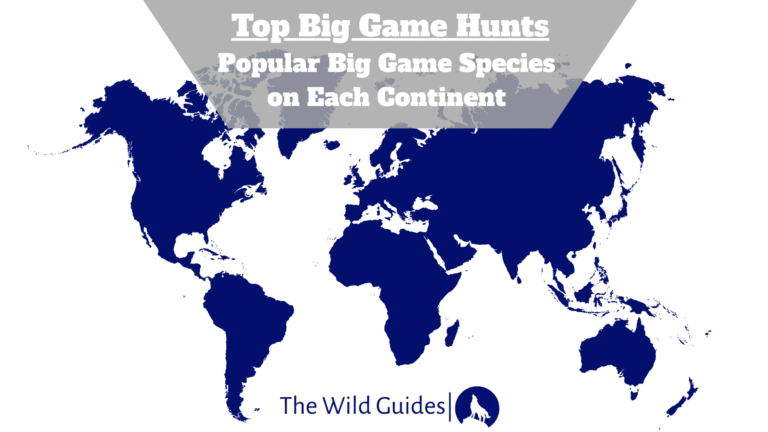 big game hunts in all continents